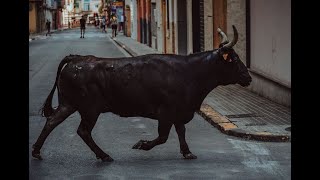 Toros tercera tarde taurina Barrio San Joaquin  Toro de calle [upl. by Carberry]