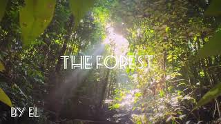 The Forest Temburong Brunei Darussalam [upl. by Hullda]