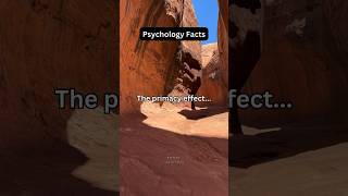 Primacy Effect shorts psychologyfacts subscribe [upl. by Rahmann]