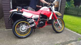 Yamaha XT600 1988 finished repairs First start up [upl. by Bertina]