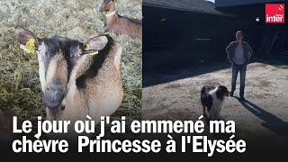 Le jour où pour sauver mon troupeau jai emmené ma chèvre Princesse à lElysée [upl. by Lahcar]