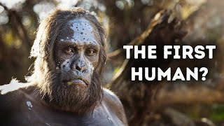 Evolution of Humans Documentary [upl. by Essirahs]