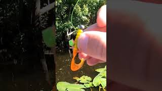 quotTight Line amp Retrievequot Technique For More Panfish fishing Techniques tips [upl. by Kirk]