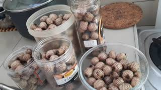 How to Preserve Rattan FruitsIn Ilocano Littuko [upl. by Cozmo]