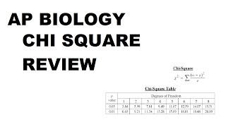 AP Bio  ChiSquare Review 2023 [upl. by Atiken596]