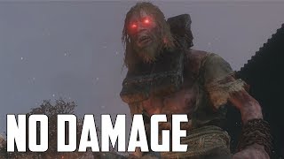 Sekiro Shadows Die Twice  All MiniBosses No Damage [upl. by Puna]