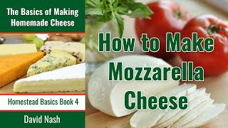 How to Make Mozzarella Cheese  30 Minute Mozzarella  Simple Awesome and Few Ingredients [upl. by Gillian]