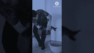 Funny Fish CachingPanic VideoPrank VideoViral Video [upl. by Onaivlis]