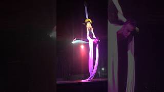 Aerial Silk Dance in St Martin  “The Final Countdown” Performance🔥🔮✨￼ [upl. by Etteneg]