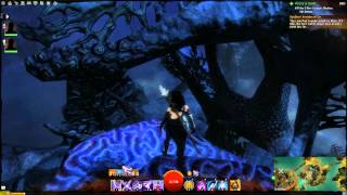 Guild Wars 2 Viziers Tower Skill Point  Vista [upl. by Lekym311]