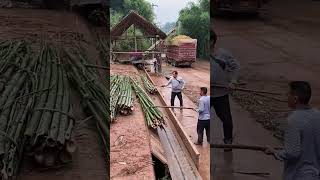 Bamboo pulp making process Good tools and machinery can increase work efficiency [upl. by Bartholemy]