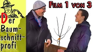 So schneidet man Obstbäume mit Tipps vom Obstbaumprofi  Film 1 von 3 [upl. by Lerim682]