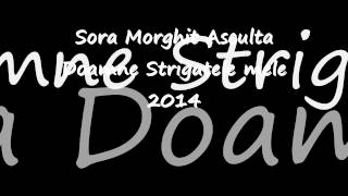 Sora Morghit Asculta Doamne Strigatele Mele 2014 [upl. by Gabie]