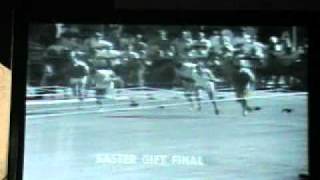 1971 Stawell Gift won by Treva McGregor [upl. by Ericka]