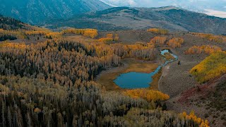 More Than Just Forests Fishlake National Forest [upl. by Ansilme]