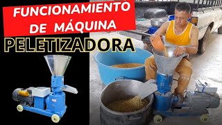 FUNCIONAMIENTO DE LA MÁQUINA PELETIZADORA [upl. by Tiffie482]