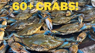 Catching GIANT Blue Crab Over 60 crabs caught [upl. by Swithbart]