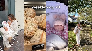 WEEKLY VLOG asos  boohoo haul  pumpkin picking  shopping  house viewings  more [upl. by Haerle]