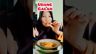 Makan Udang Galah Masak Santan keseharianaurorakhansa shorts mukbang [upl. by Brawley]