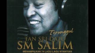 SM Salim  Lagu Zaman Official Audio Video [upl. by Milas]