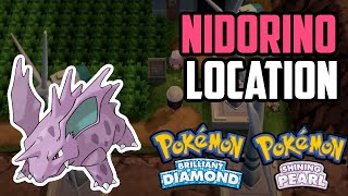 How to Catch Nidorino  Pokémon Brilliant Diamond amp Shining Pearl [upl. by Anibur946]