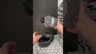 Honest Review of Petmate Aspen Pet Lebistro Cat and Dog Water Dispenser [upl. by Pollux741]