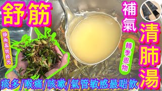 一轉季🍂氣管敏感痰多咳嗽🫁喉痛作感冒🥲筋骨酸痛🦵🏻😖就飲佢啦🎯【五指毛桃石仙桃湯】潤肺化痰止咳舒筋活絡秋天湯水🍁 [upl. by Abagael]