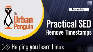 How To Use Sed In Linux A Practical Guide [upl. by Aible238]