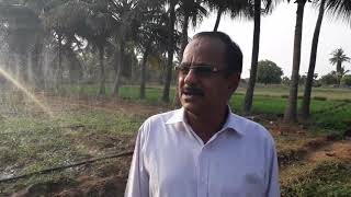 Rain Hose Irrigation in tamil  mettuparai quotIyarkai vivasayiquot AD kandasamy [upl. by Alamaj]