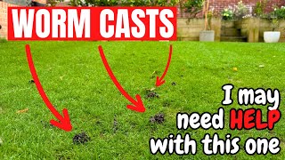 The most annoying thing about AUTUMN LAWN CARE  Worm Casts [upl. by Oiluig]