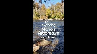 POV Exploring UMichs Arboretum in autumn  Michigan Public Health [upl. by Bohannon]