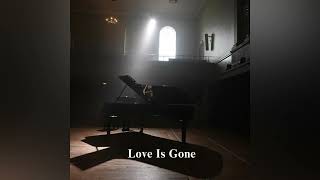 SLANDER Dylan Matthew  Love Is Gone  Piano cover From ViOLiNiA Zhanna Stelmakh [upl. by Silrak]