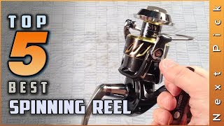 Top 5 Best Spinning Reel Review in 2024 [upl. by Ahsetra]