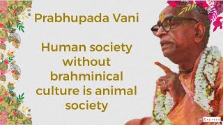 Prabhupada Vani Human society without brahminical culture is animal society [upl. by Nanine]