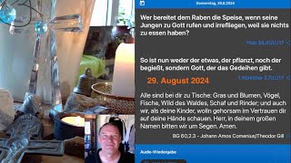 Gedanken zur Herrnhuter Tageslosung am 29 August 2024 [upl. by Velasco]