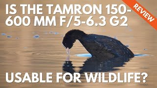 Tamron 150600mm G2 How to Use it for Wildlife Photography and Review [upl. by Aihpos752]