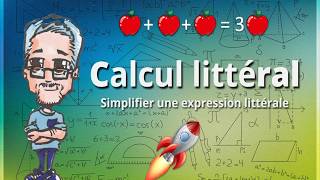 Simplifier une EXPRESSION LITTERALE  Calcul littéral 5e4e [upl. by Naziaf]