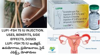 lupi fsh 75 injection uses in telugu Lupi fsh injection review Best pregnancy injection Lupi fsh [upl. by Atkinson]