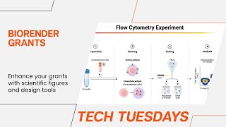 Tech Tuesday BioRender Grants [upl. by Nojad]