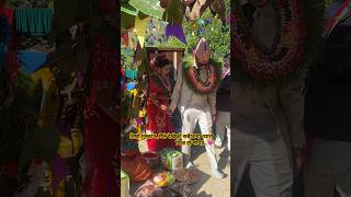 Sangai paila chalinau vaneweddingvideo viralvideo viralshorts love ❤️❤️❤️ [upl. by Durante]