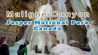 Maligne Canyon ICE WALK  Jasper National Park MUST VISIT IN CANADA [upl. by Ralyt]