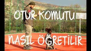 OTUR KOMUTU UYGULAMALI ANLATIMAV KÃ–PEÄÄ° EÄÄ°TÄ°MÄ°YAVRU AV KÃ–PEK OTUR EÄÄ°TÄ°MÄ° [upl. by Dominic]