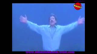 Abhimanigale Nanna Praana  DrVishnuvardhan Song AshwathnPJ [upl. by Einnalem]