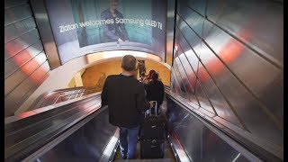 Sweden Stockholm Arlanda Airport Terminal 5 arriving with SAS from Prague 1X escalator [upl. by Quickel]