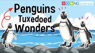 Penguins  Tuxedoed Wonders [upl. by Armando]