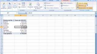 Uso de herramientas de tabla dinámica en Microsoft Excel 2007 [upl. by Eisdnil337]