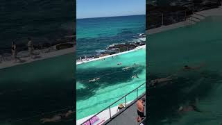 Bondi Icebergs Swimming Sydney Australia  part 1 [upl. by Cost]