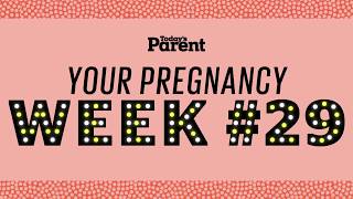 Your pregnancy 29 weeks [upl. by Vastha105]