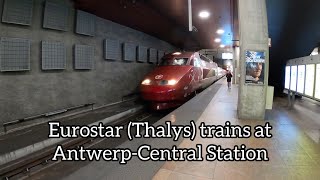 Eurostar Thalys trains at AntwerpCentral Station [upl. by Hawkie175]