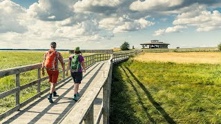 Five amazing hiking trails in West Sweden [upl. by Anierdna768]